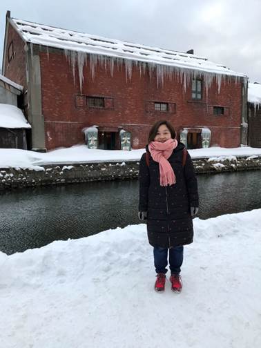 图片包含 建筑, 砖, 雪, 游戏机描述已自动生成
